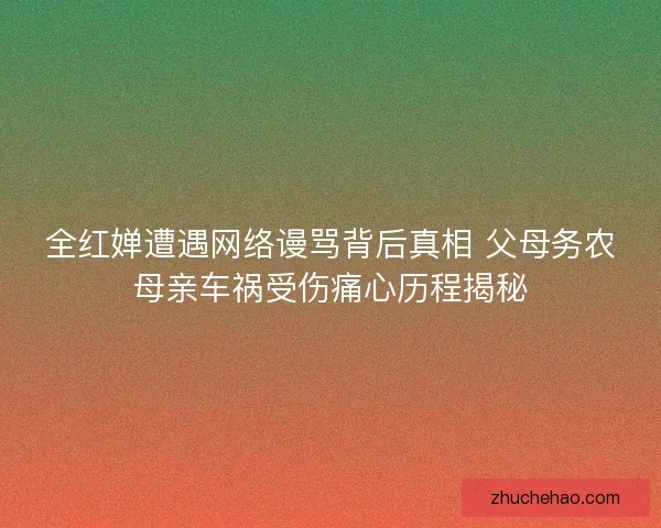 全红婵遭遇网络谩骂背后真相 父母务农母亲车祸受伤痛心历程揭秘