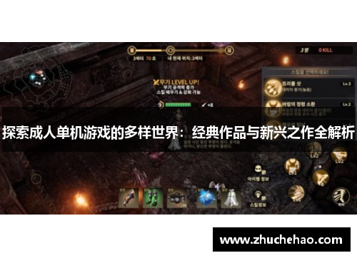 探索成人单机游戏的多样世界：经典作品与新兴之作全解析
