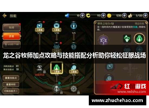 龙之谷牧师加点攻略与技能搭配分析助你轻松征服战场